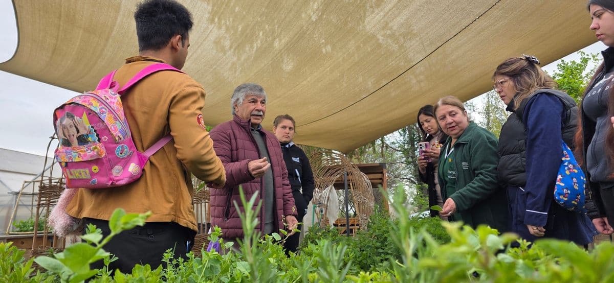 Cultura Regenerativa