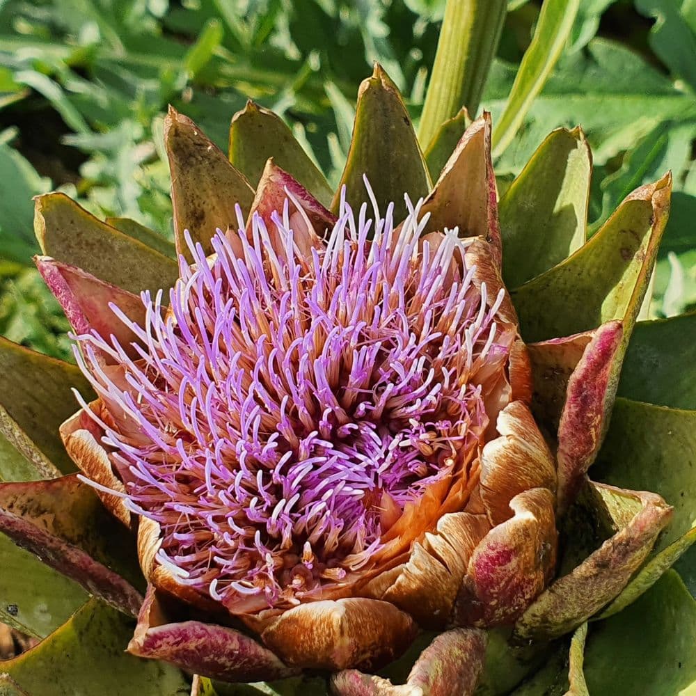 Adobe Express - file (9).jpg